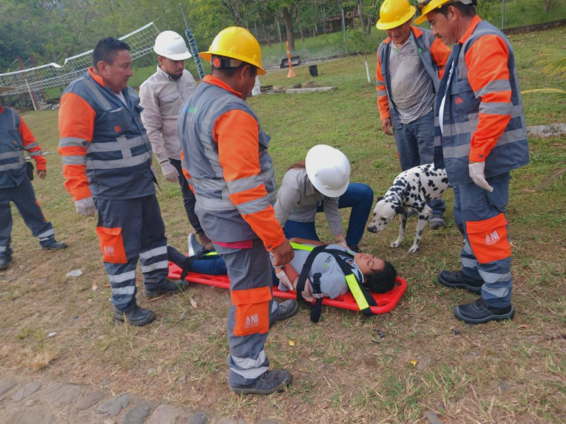 Capacitación en seguridad vial